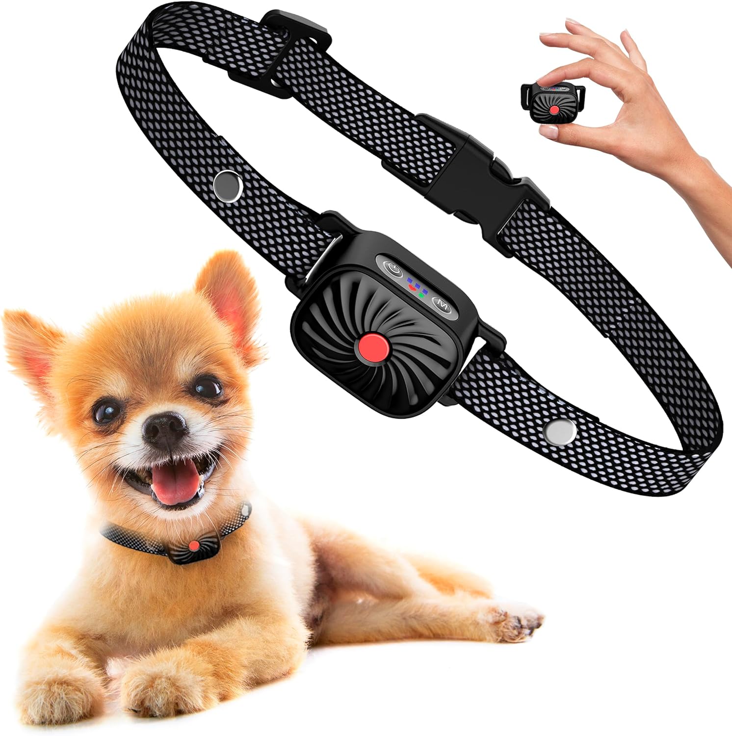 Antibellhalsband für kleine Hunde